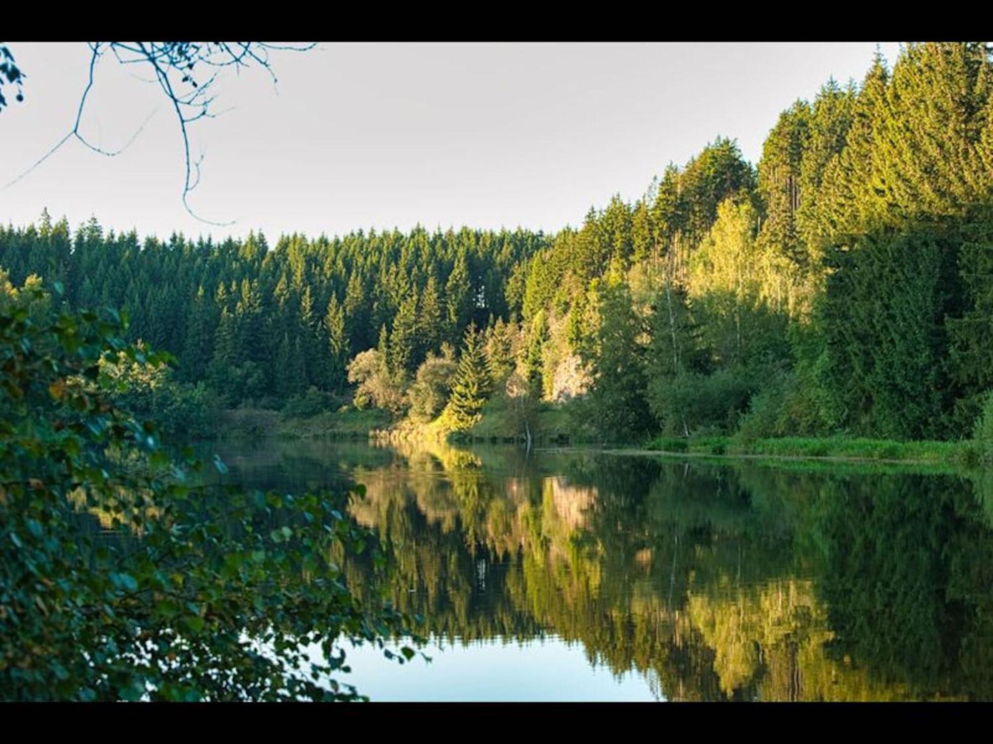 The House To Stay For Holidays Hasselfelde Kültér fotó